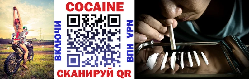 ссылка на мегу маркетплейс  Ангарск  Cocaine FishScale 