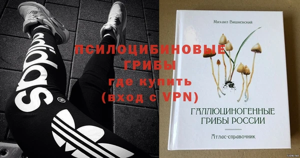 гашик Абдулино