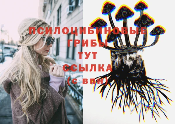 прущая мука Абаза