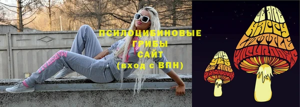 ГАЛЛЮЦИНОГЕННЫЕ ГРИБЫ Абинск