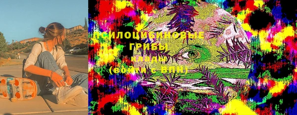 прущая мука Абаза